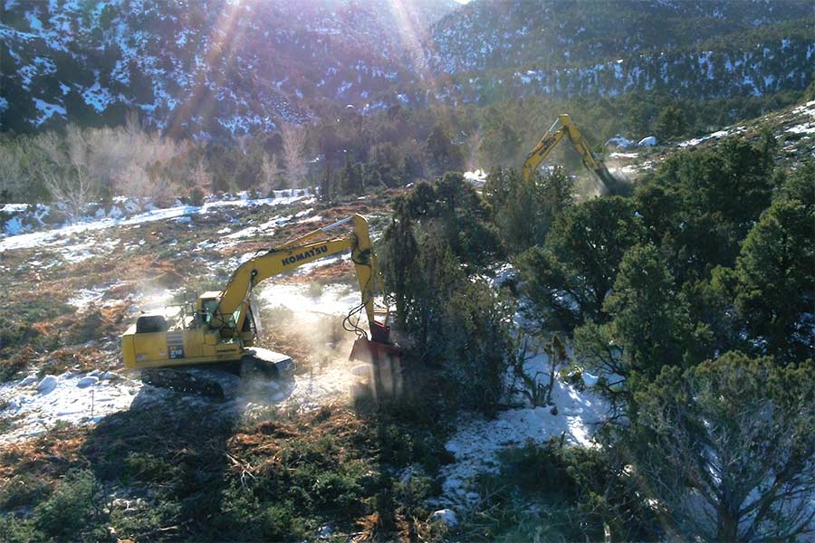 Construction equipment doing habitat restoration