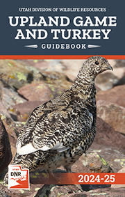 Upland Game and Turkey Guidebook cover