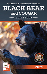 Black bear and cougar guidebook cover