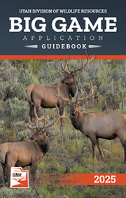 Big Game Application Guidebook