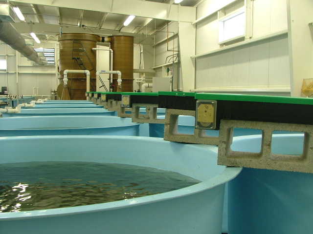 Fish recirculation facility