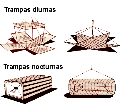 Trampas para cangrejos de río