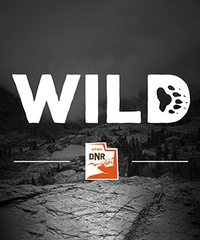 Listen to "Wild" podcast episode 55: The CWMU & LOA programs