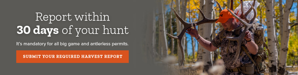 Every hunt tells a story. Please complete your hunt harvest report for deer, elk and antlerless permits.