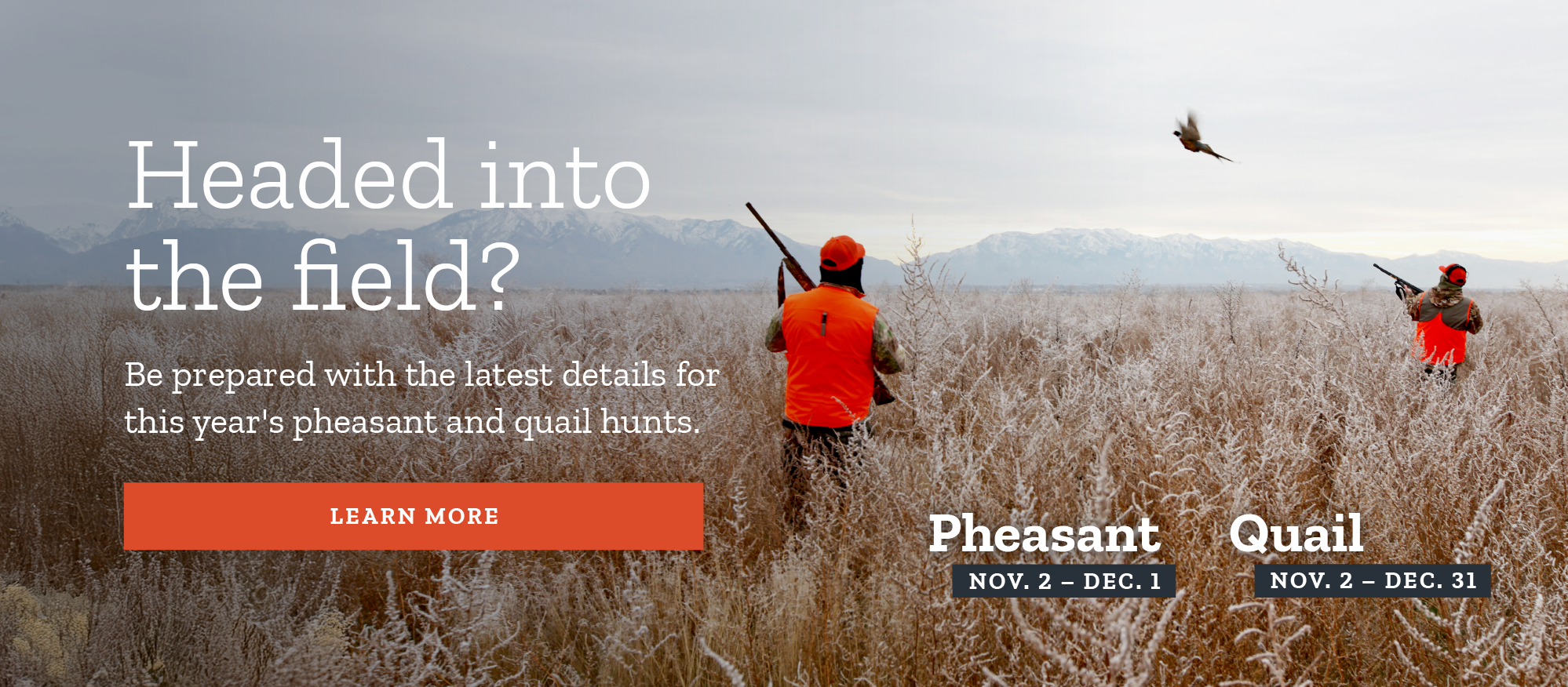 upland game hunts