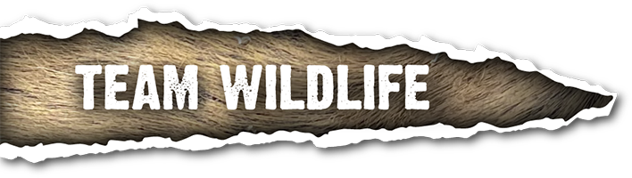 Team Wildlife profile