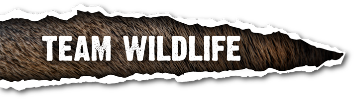 Team Wildlife profile