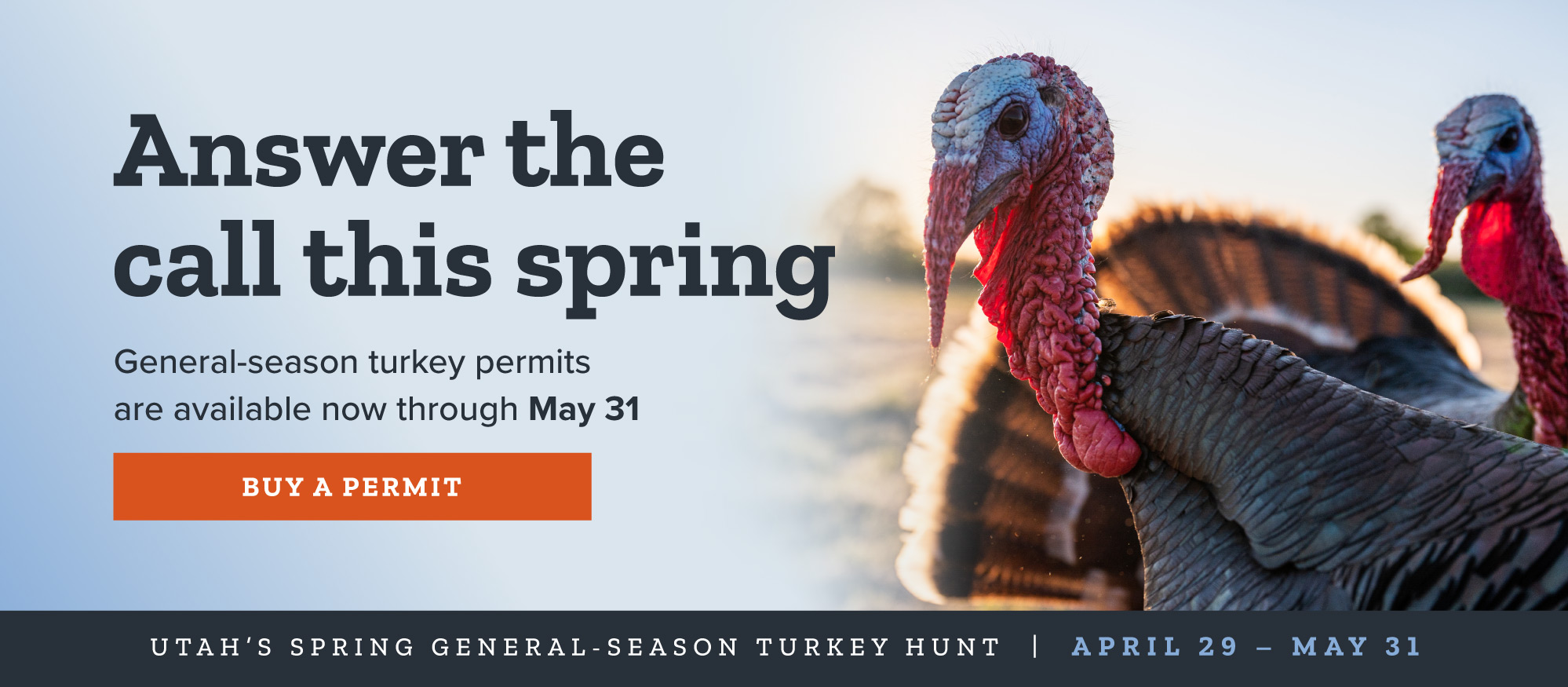General-season Turkey Permits available now