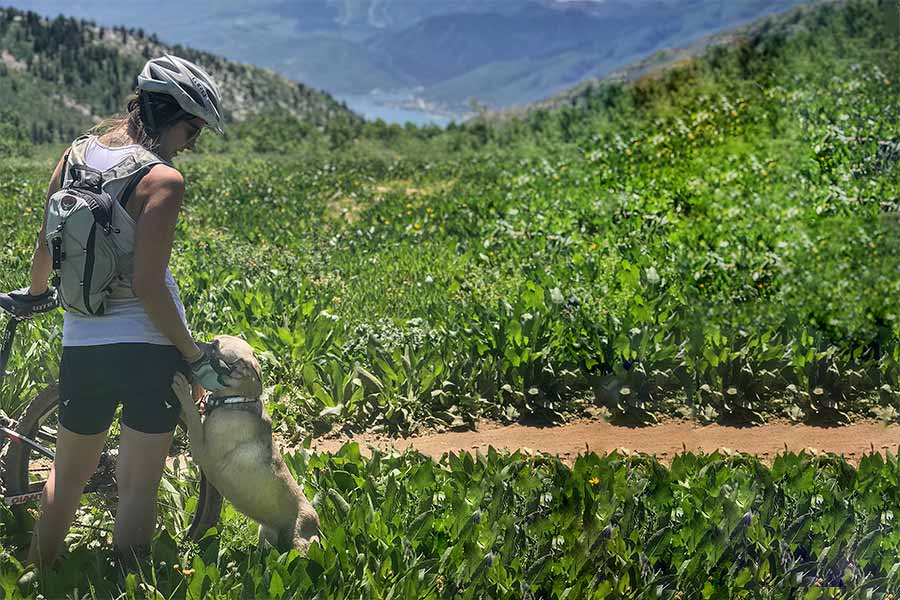 Hiking biker and dog on a lush mountain trail