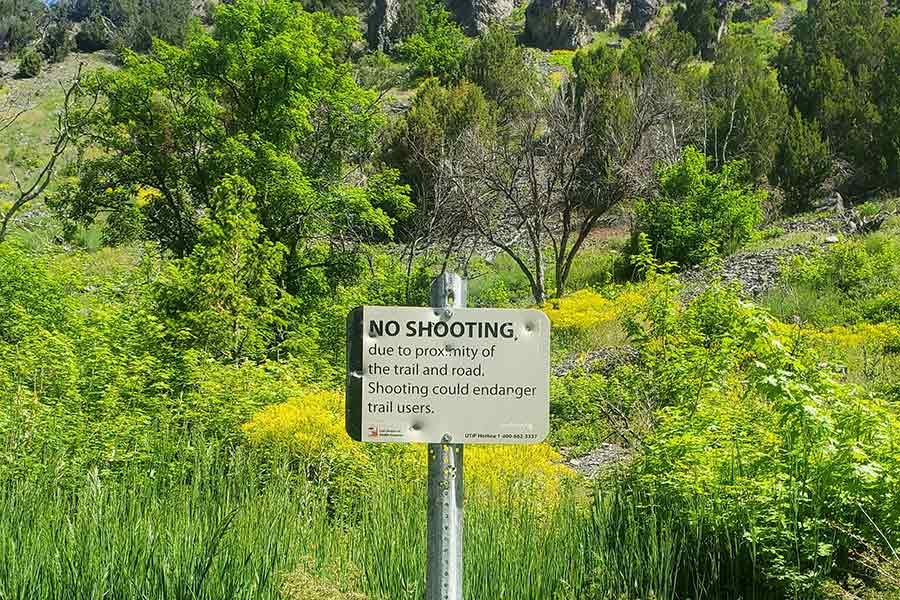 "No Shooting" sign with several bullet holes at Millville-Providence Wildlife Management Area